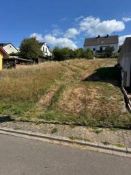 Hoch überm Tale… - Traumgrundstück - grenzenloses Glück! Fernblick gratis! Grundstück kaufen 54455 Serrig Bild mittel