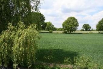 Hochwertig und ausgefallen - DHH, ca. 140m² - Blick über Felder Haus 22926 Ahrensburg Bild mittel
