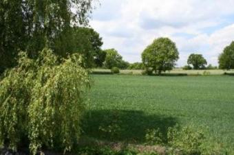 Hochwertig und ausgefallen - DHH, ca. 140m² - Blick über Felder Haus 22926 Ahrensburg Bild mittel