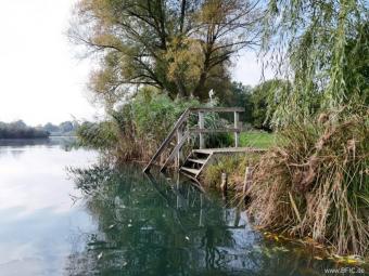 Idyllischer Campingplatz in Sachsen am Olbasee - Kleinod mit großem, kernsaniertem Resthof Gewerbe kaufen 02694 Malschwitz Bild mittel
