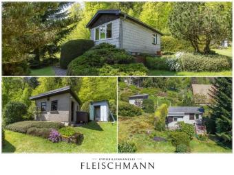 Idyllisches Freizeitgrundstück mit Weitblick in Zella-Mehlis Grundstück kaufen 98544 Zella-Mehlis Bild mittel