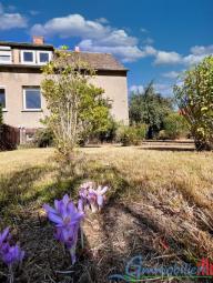 Ihr neues Zuhause: Charmante Doppelhaushälfte in Elbisbach bei Bad Lausick/Frohburg Haus kaufen 04654 Frohburg Bild mittel