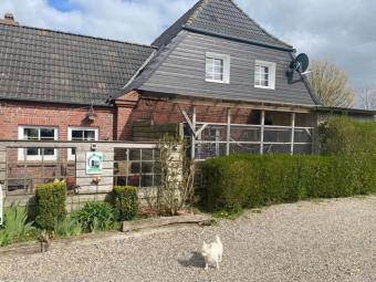 IIM: Verkauf Wohnhaus mit Ferienwohnungen und leistungsstarker Gastronomie in der Region Nordfriesland, direkt hinter dem Deich Haus kaufen 25813 Husum Bild mittel