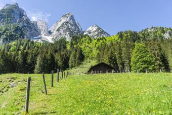 Investment in die Zukunft - Renditeobjekt - Neubau - verpachtet - im Umland von Salzburg Haus kaufen 83435 Bad Reichenhall Bild mittel