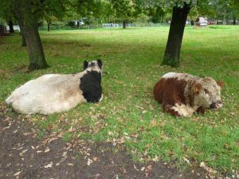 KAPITALANLAGE! Doppelhaushälfte mit 2 Wohneinheiten in bevorzugter Lage und Baumöglichkeit. RENDITE Haus kaufen 55750 Mörschied Bild mittel