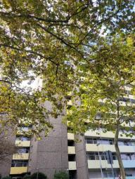 KAPITALANLAGE: Neuwertige, schicke 2-Zimmer-Wohnung mit Balkon und Stellplatz in ruhiger Lage Wohnung kaufen 55127 Mainz Bild mittel
