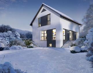 KELLERGESCHOSS FÜR MEHR RAUM ZUM LEBEN Haus kaufen 77866 Rheinau Bild mittel