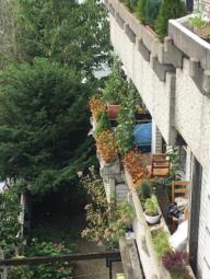 Liegenschaft mit 2 MFH im Essener Süden - 5 WE - jede WG eigener Eingang - Balkone - Terrassen - 3 Garagen Haus kaufen 45289 Essen Bild mittel