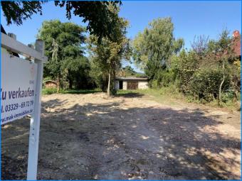 MAK Immobilien: Verkauf: Grundstück in Zeuthen Miersdorf Grundstück kaufen 15738 Zeuthen Bild mittel