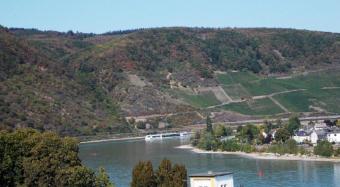 mehrere Jahrhunderte altes historische Objekt mit Rheinblick, 2009 vollständig renoviert, mehrere Apartmens und hochwertige Gewerbefläche Haus kaufen 56070 Koblenz Bild mittel