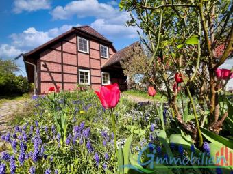 Modernes Fachwerkhaus (Bj.1994) in Großpösna - Stilvolles Wohnen mit Wohlfühlcharakter Haus kaufen 04463 Großpösna Bild mittel