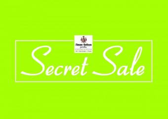 Nähe Bad Elster: Repräsentative Villa mit ca. 14.500 m² Grundstück Haus kaufen 08645 Bad Elster Bild mittel