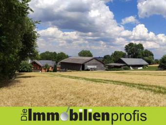 Nähe Hof: 1-2 Fam.Haus mit Scheune, Halle, Stall und Werkstatt Haus kaufen 95176 Konradsreuth Bild mittel