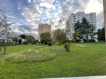 Naturnahes Wohnen genießen und alle Vorteile der Stadtnähe nutzen!! Wohnung kaufen 88239 Wangen im Allgäu Bild mittel