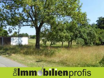 Nur 24 Euro/ m² ? Grundstück mit 2 Garagen Nähe Regnitzlosau Grundstück kaufen 95194 Regnitzlosau Bild mittel