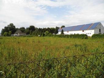 ObjNr:18340 - Großzügiges Baugrundstück in ruhiger Lage des schönen Ortes Ducherow Grundstück kaufen 17398 Ducherow Bild mittel