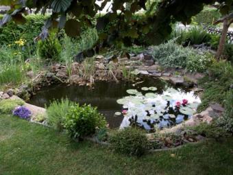 ObjNr:8223 - Ein großzügiges, repräsentatives und freistehendes 2-Familienhaus mit Anbau Haus kaufen 67269 Grünstadt Bild mittel