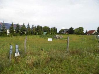 ObjNr:B-18340 - voll erschlossenes Baugrundstück Grundstück kaufen 17398 Ducherow Bild mittel