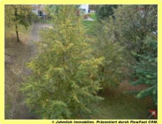 Offene Küche und Blick ins Grüne... + 2 MONATE MIETFREI... Wohnung mieten 09119 Chemnitz Bild mittel