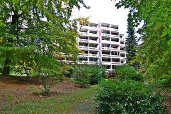 Penthouse-Wohnung in schöner, ruhiger Waldrandlage Wohnung kaufen 56581 Ehlscheid Bild mittel