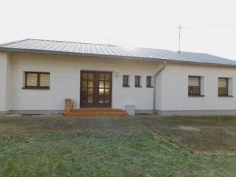 Piesport Schäferhof - wo Fuchs und Hase Ihnen gute Nacht sagen - EFHs. zur Miete Haus 54498 Piesport Bild mittel