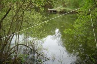 Privates Grundstück mit See in Mühlheim am Main Grundstück kaufen 63165 Mühlheim am Main Bild mittel