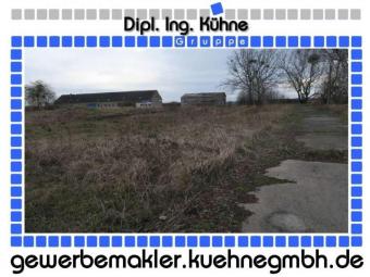Prov.-frei: Grundstück mit Doppelhalle und Freifläche Gewerbe mieten 16278 Angermünde Bild mittel