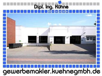 Prov.-frei: Lagerhalle mit Büroanteil Gewerbe mieten 12623 Berlin Bild mittel