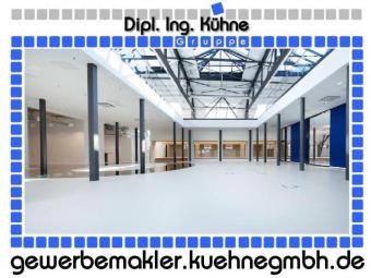 Prov.-frei: Moderne und helle Büros Gewerbe mieten 10117 Berlin Bild mittel