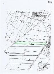 Reizvoller Mischwald auf Rügen Grundstück kaufen 18573 Samtens Bild mittel