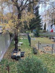 renovierte 2-Zimmer Wohnung in einem MFH gegenüber vom Bethesda Krankenhaus in Hochfeld Wohnung mieten 47053 Duisburg Bild mittel