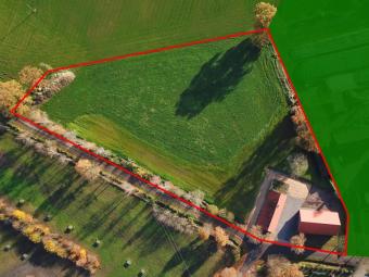 Resthof in Getelo mit 1,22 ha Grasland. Haus kaufen 49843 Getelo Bild mittel