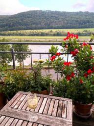 romantisches kleines Haus mit Moselblick und schöner Moselblick-Terrasse Haus kaufen 54492 Zeltingen-Rachtig Bild mittel
