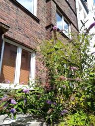 Ruhig wohnen, mitten in Döhren - 3 Zimmer mit Balkon Wohnung kaufen 30159 Hannover Bild mittel