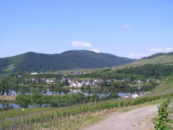 Schöne Eigentumswohnung als Renditewohnung an der Mosel zuverkaufen Wohnung kaufen 56812 Cochem Bild mittel