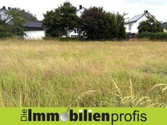 Schönes Baugrundstück am Fuße des Waldsteins Grundstück kaufen 95234 Sparneck Bild mittel