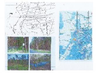 Schönes Waldgrundstück am Gartzsee Grundstück kaufen 15377 Waldsieversdorf Bild mittel