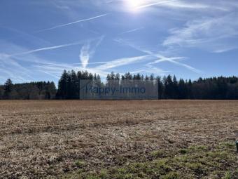 Spekulations-Bauerwartungs- Grundstück - aktuell ist es landwirtschaftlich genutzt Grundstück kaufen 82041 Oberhaching Bild mittel