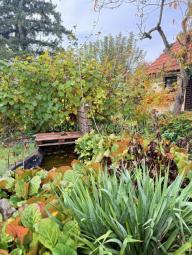 stadtnahes Wohnen & Platz für die ganze Familie | Mainz-Hechtsheim (Erbpacht) Haus kaufen 55129 Mainz Bild mittel