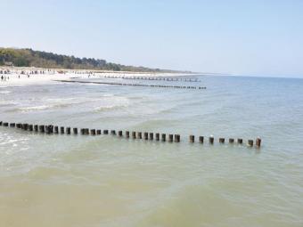 Super! Haus möbliert (2 WE) mit Kamin und Sauna nur 250 m bist zum Bodden in Zingst! Haus kaufen 18374 Zingst Bild mittel