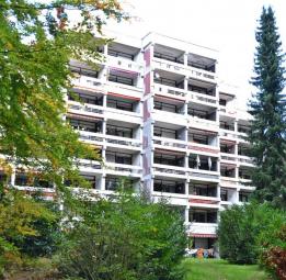 Teilsanierte Eigentums-Penthousewohnung Nähe Neuwied am Rhein in schöner, ruhiger Waldrandlage Wohnung kaufen 56581 Ehlscheid Bild mittel