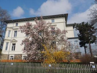 Topsaniertes und vollvermietetes Renditeobjekt in guter Lage mit Park, Garagen und Stellplätzen! Gewerbe kaufen 08412 Werdau Bild mittel