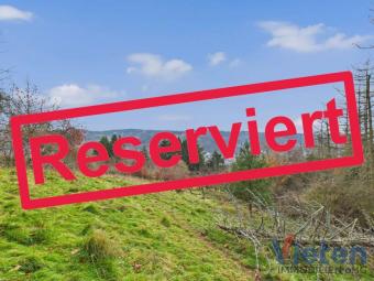 Traumhafter Talblick - großes Hanggrundstück mit Abrissobjekt, Wiesen- und Waldfläche in Scheuren Grundstück kaufen 53937 Schleiden Bild mittel