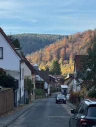 Traumwohnung für das täglich sanfte Erwachen. KAPITALANLAGE oder eigener Altersruhesitz! Wohnung kaufen 67468 Neidenfels Bild mittel