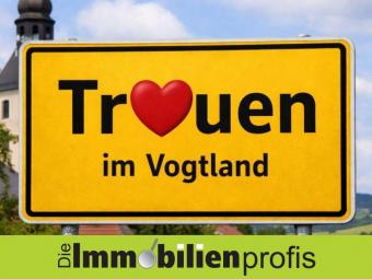 Treuen/Auerbach: Einfamilienhaus mit Garten Haus kaufen 08233 Treuen Bild mittel