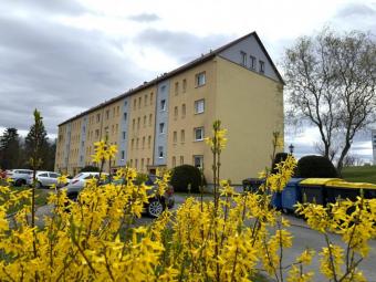 Vermietete 2-RWE im 2. OG mit Balkon, Stpl. und Tageslicht-Bad! Unmittelbare Nähe zur Talsperre! Wohnung kaufen 08412 Werdau Bild mittel