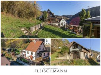 Vielseitiges Einfamilienhaus mit großem Grundstück, 3 Garagen und Ausbaupotenzial Haus kaufen 98587 Steinbach-Hallenberg Bild mittel
