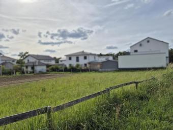Von Privat: Grundstück ohne Bauzwang Grundstück kaufen 92353 Postbauer-Heng Bild mittel