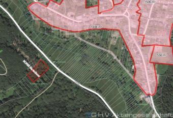 Wald/Wiesengrundstück Oberwürzbach-Reichenbrunn gegen Höchstgebot Grundstück kaufen 66606 St. Wendel Bild mittel