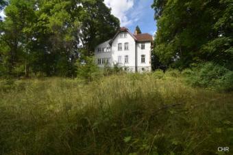 Wer erweckt mich aus meinem Dornrösschenschlaf - alte Jugenstilvilla in toller und ruhiger Wohnlage Haus kaufen 37441 Bad Sachsa Bild mittel